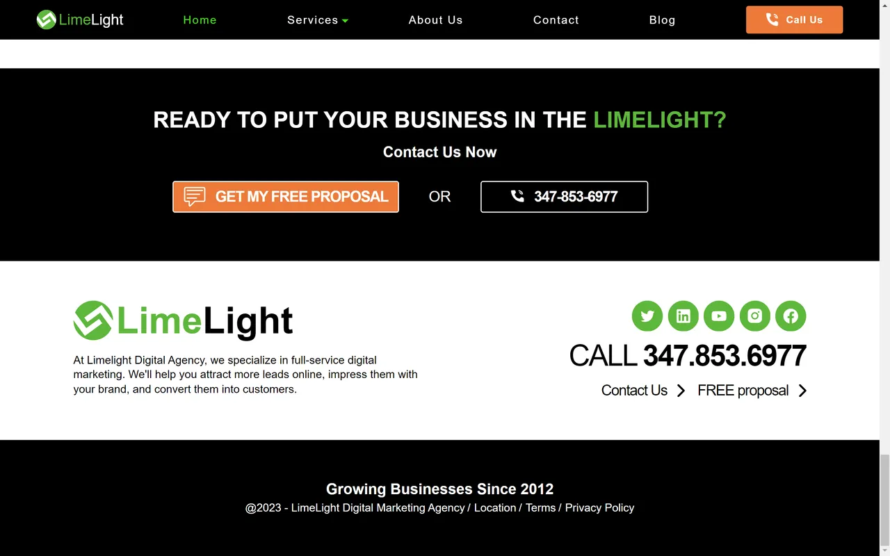 Limelight Digital Agency screenshot 2